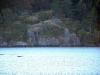 esquimalt_lagoon-12